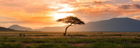 Experience Africa's Sun Set over the Savannah
